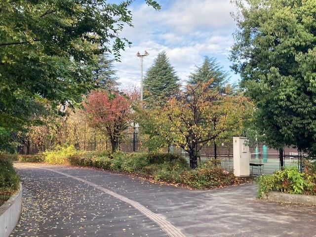 061127  (1)
